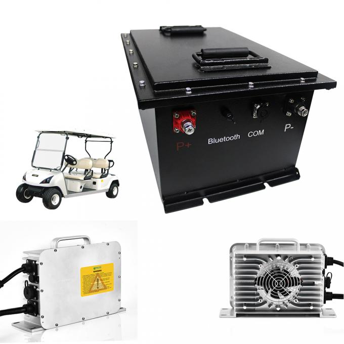 Golf Cart 48V Li Ion Battery Pack 51.2V 160Ah LiFePO4 Deep Cycle