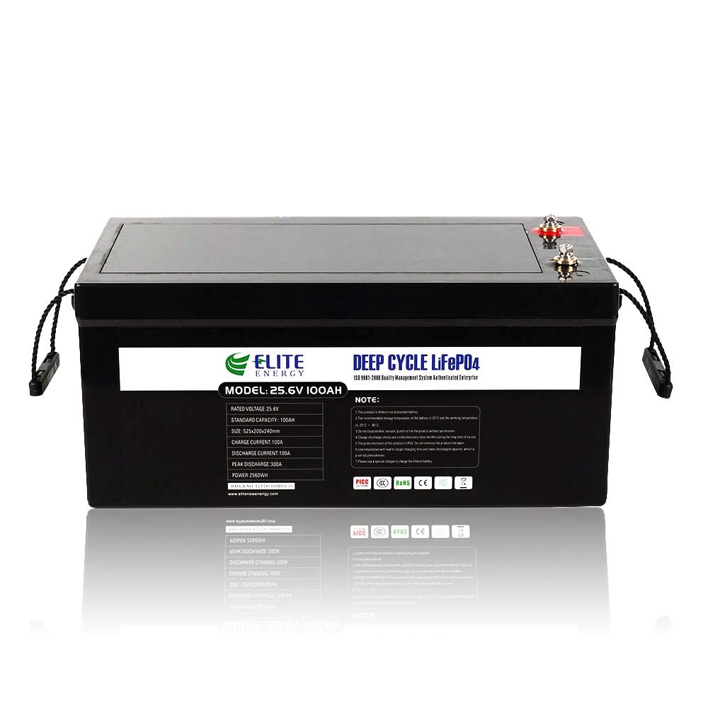 quality 24V LiFePO4 Battery Service