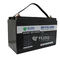 Phosphate Lithium Iron 12V 100Ah RV LiFePO4 Battery Rechargeable